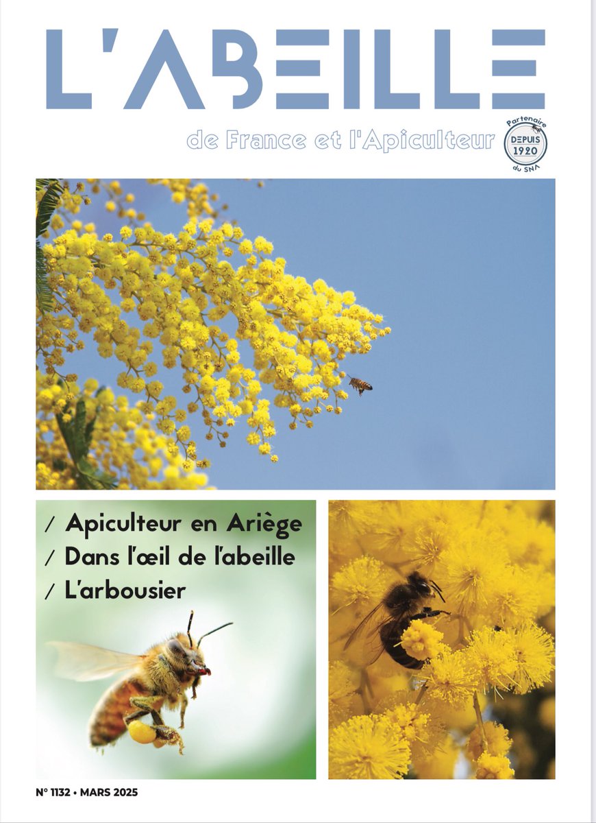 Depuis le début de cette année, l actualité apicole est un peu folle… Nous sommes sur les réseaux sociaux un peu silencieux mais nous travaillons, n en doutez point. Profitez de notre jolie couverture de mars et du bleu du ciel au milieu de la tempête… #Apiculture