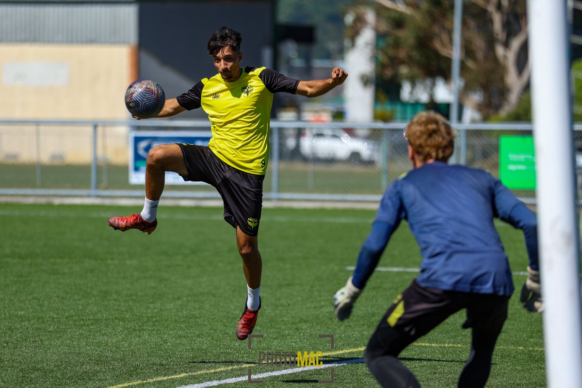 NZPhotomac's tweet photo. Thanks for the birthday love all. I spent it with the @WgtnPhoenixAcad and @ZEALANDIA 

#FootballPhotography #SportsPhotography #COYN #BirdsOfNZ #NZBirds #BirdPhotography #WildlifePhotography #NaturePhotography #Titipounamu #Tuatara #Tieke https://t.co/LYXoyPnG27