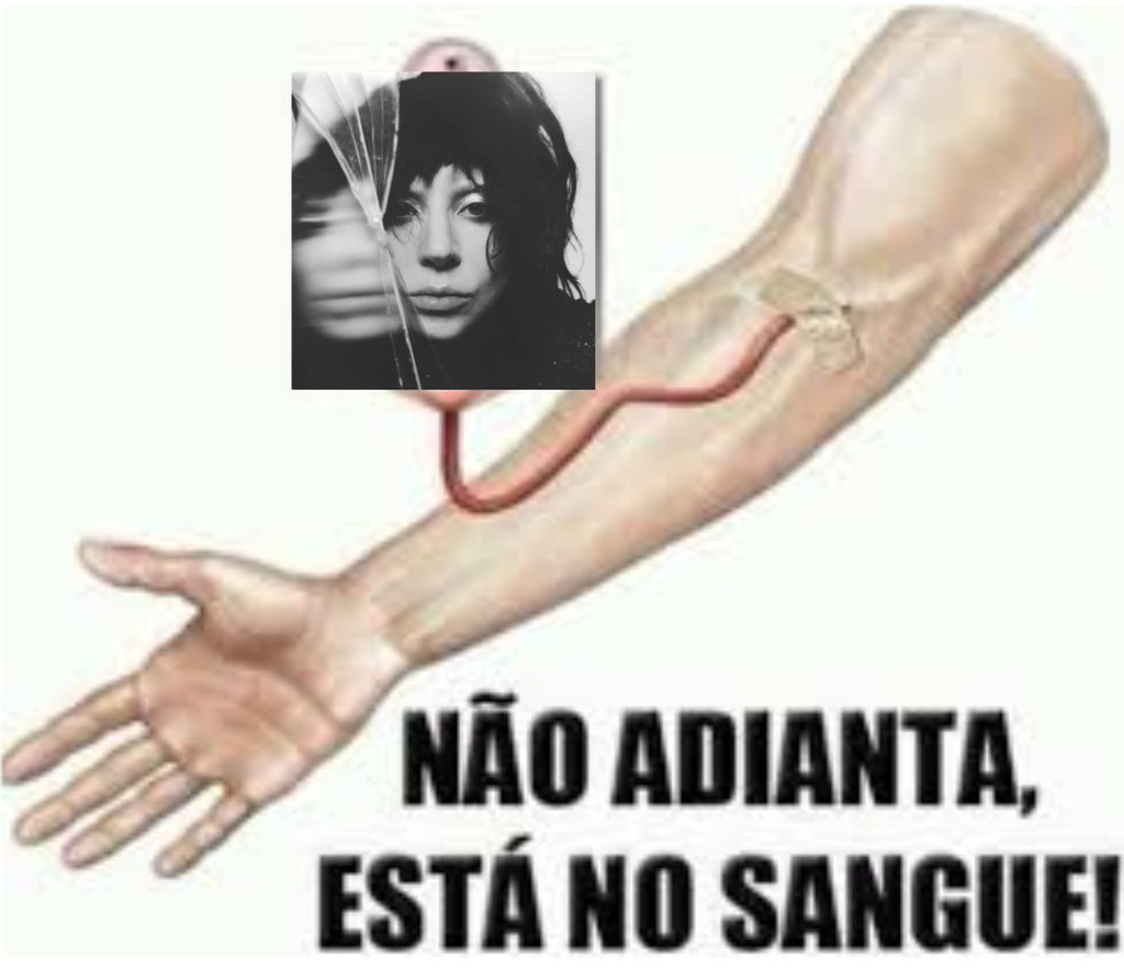 LGBeTinho's tweet photo. Engraçado que desde que o Mayhem foi lançado eu não tenho interesse em escutar nada além dele https://t.co/C5NKgRIAuq