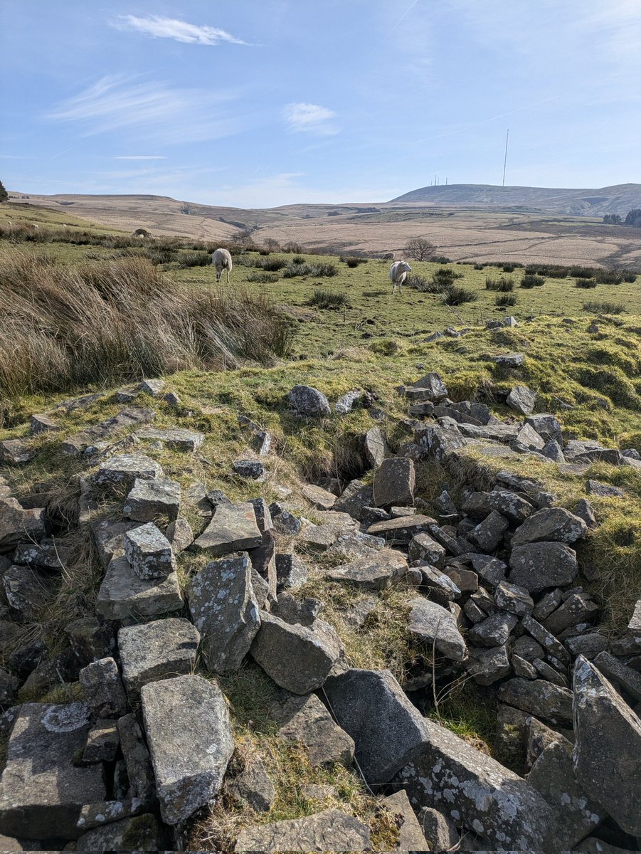 bubbachops's tweet photo. @RamblersGB Towards Rivington Pike. No people just sheep 🐑 https://t.co/eSmnjprrP1