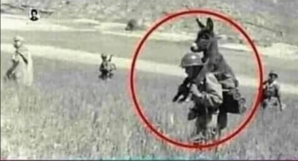 الجندي الذي يحمل الحمار ليس بدافع الحب وإنما بسبب تواجدهم في حقل الغام لأنه أي خطوة خاطئة من الحمار تؤدي بهم الى الهلاك .. بعض الأحيان يجب علينا ان نتحمل الحمير حولنا حتى نحمي أنفسنا !!