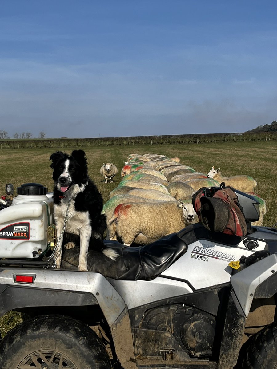 Balmonth Farm tweet media