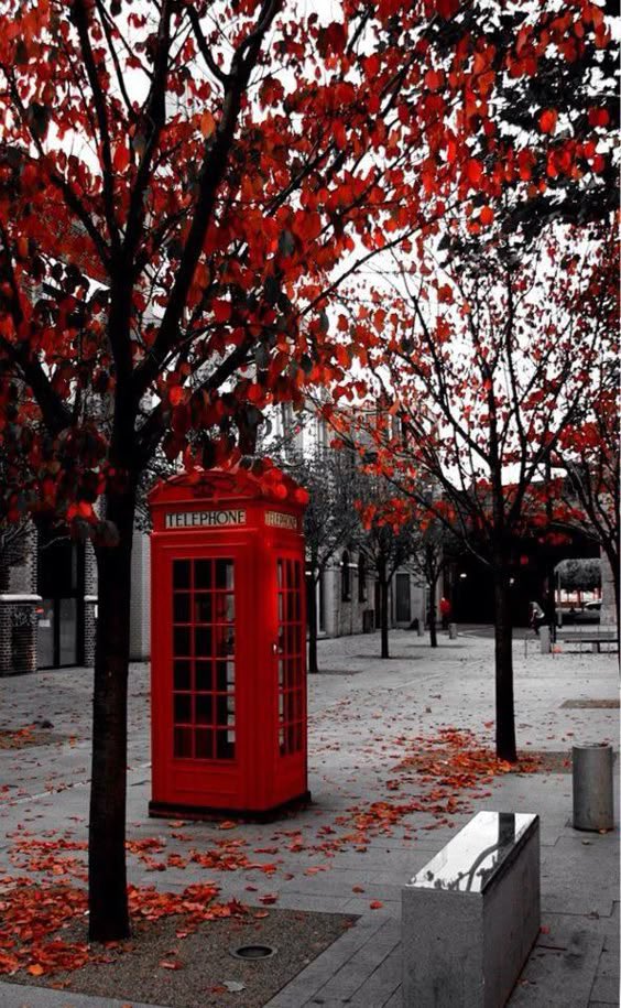 bssh71's tweet image. كانك لقيت اللي يعوضك عني
انا لقيت ولارضيت العوض فيك