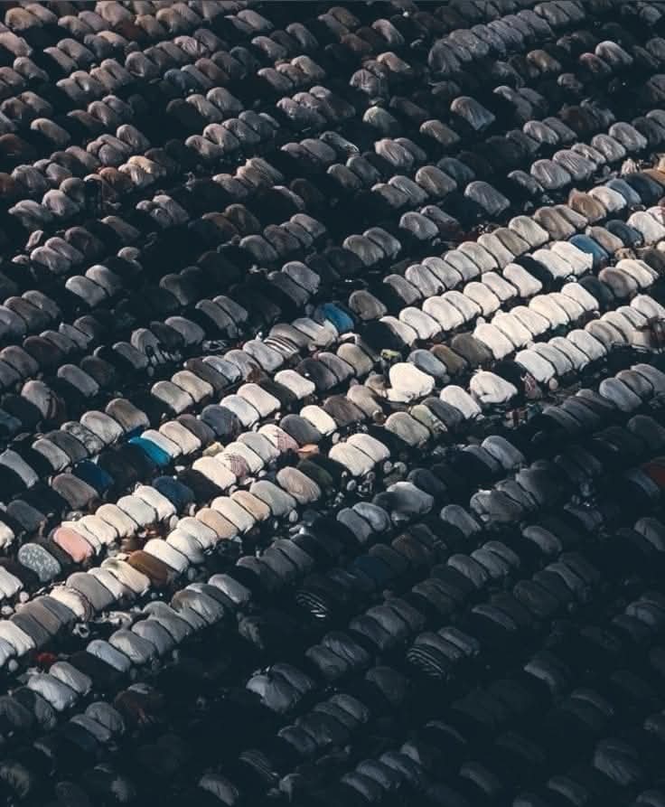 هنا تنحني رؤوس الرجال.. 🤍✨️