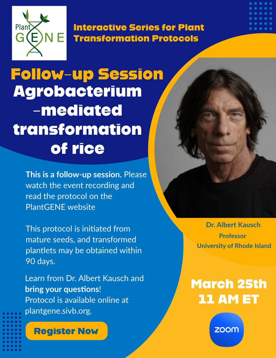 Back by popular demand! 

Please join us on March 25th at 11:00 AM ET for the Follow-up Session to the event "Agrobacterium-mediated transformation of rice". 
Viewing the event recording is highly encouraged!

Register here: cornell.zoom.us/webinar/regist…

#PlantScience #Biotechnology
