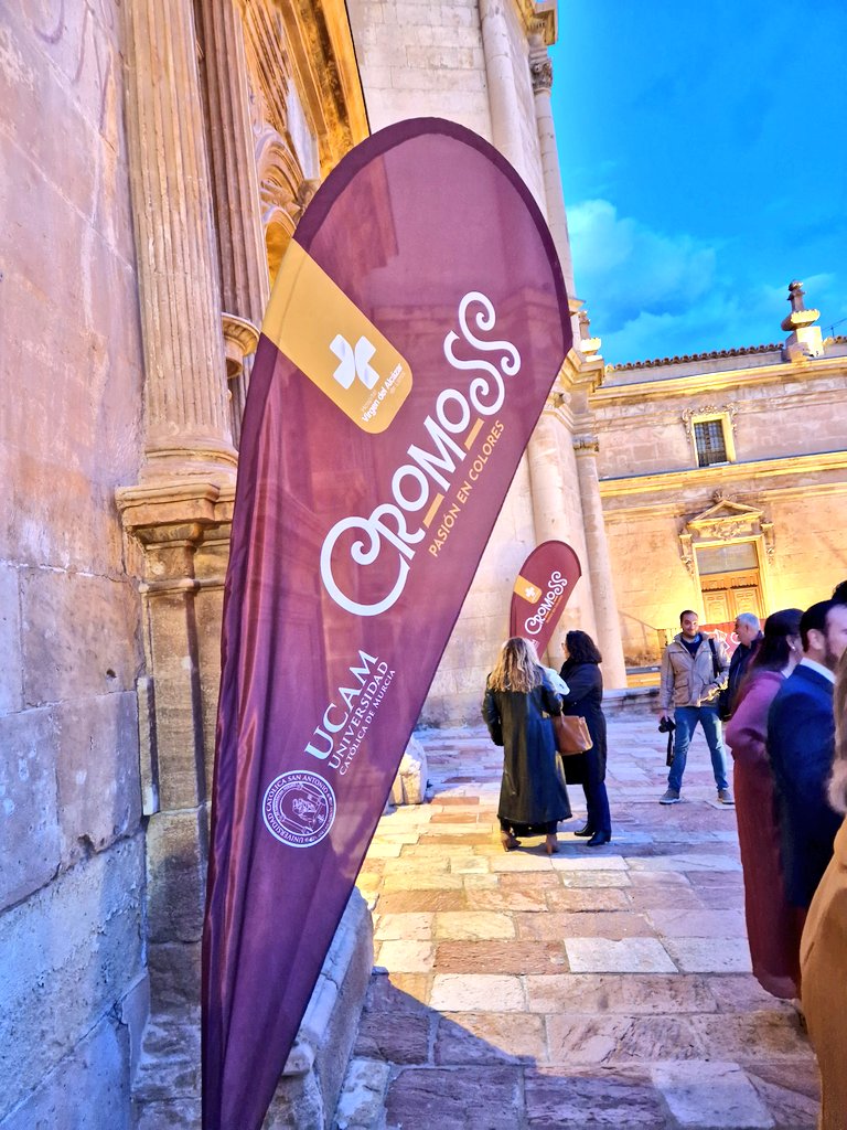 H.Virgen del Alcázar tweet media