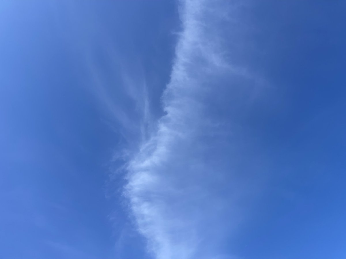 eggpathy's tweet image. it's 53° out so i took a nap on the ground today #ilovespring #ilovenapping #ilovethecolorofthesky