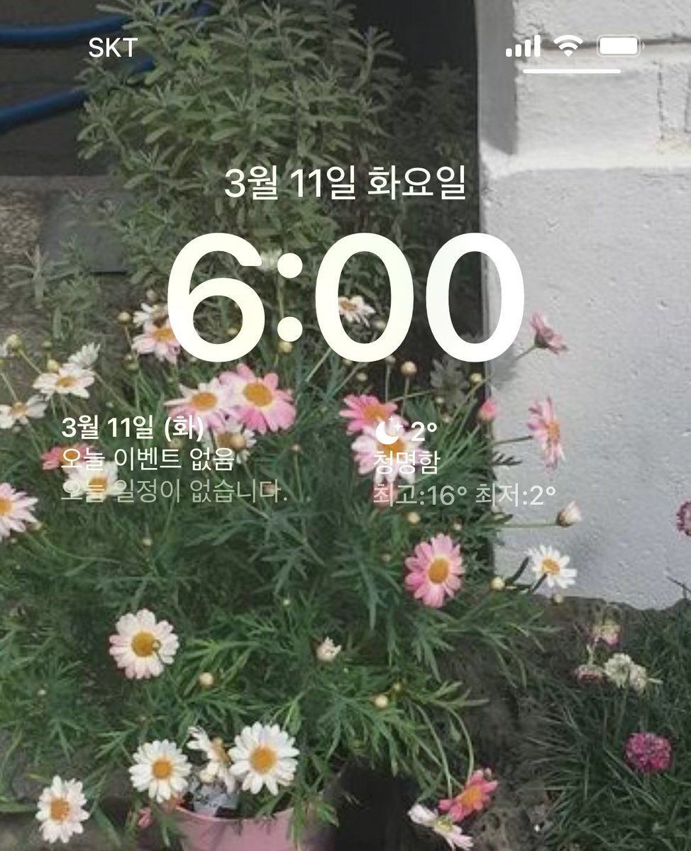 기상완!! 어제 공부를 많이 못해서 오늘은 5시간 이성 할것