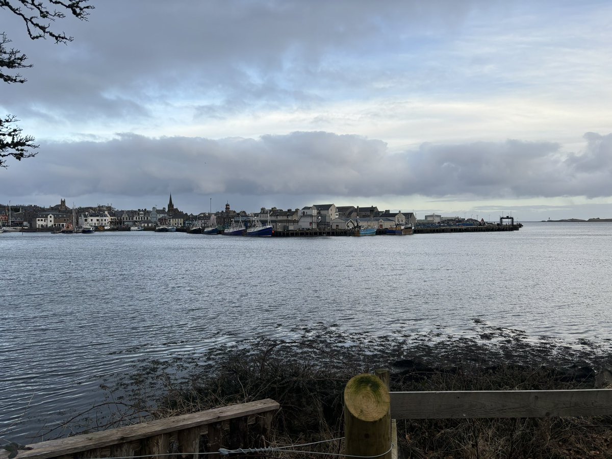 A fab evening with a group of new shinty coaches for <a href="/lewiscamanachd/">Camanachd Leòdhais 🏑</a> who completed the first part of their foundation coaching course tonight. Didn’t manage to take a photo so here’s one from my walk earlier. #shinty  #newcoaches