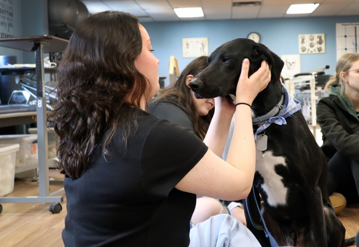 Our favorite service dog, Link, stopped by the PTA program for some paws-itively heartwarming moments! 🐶