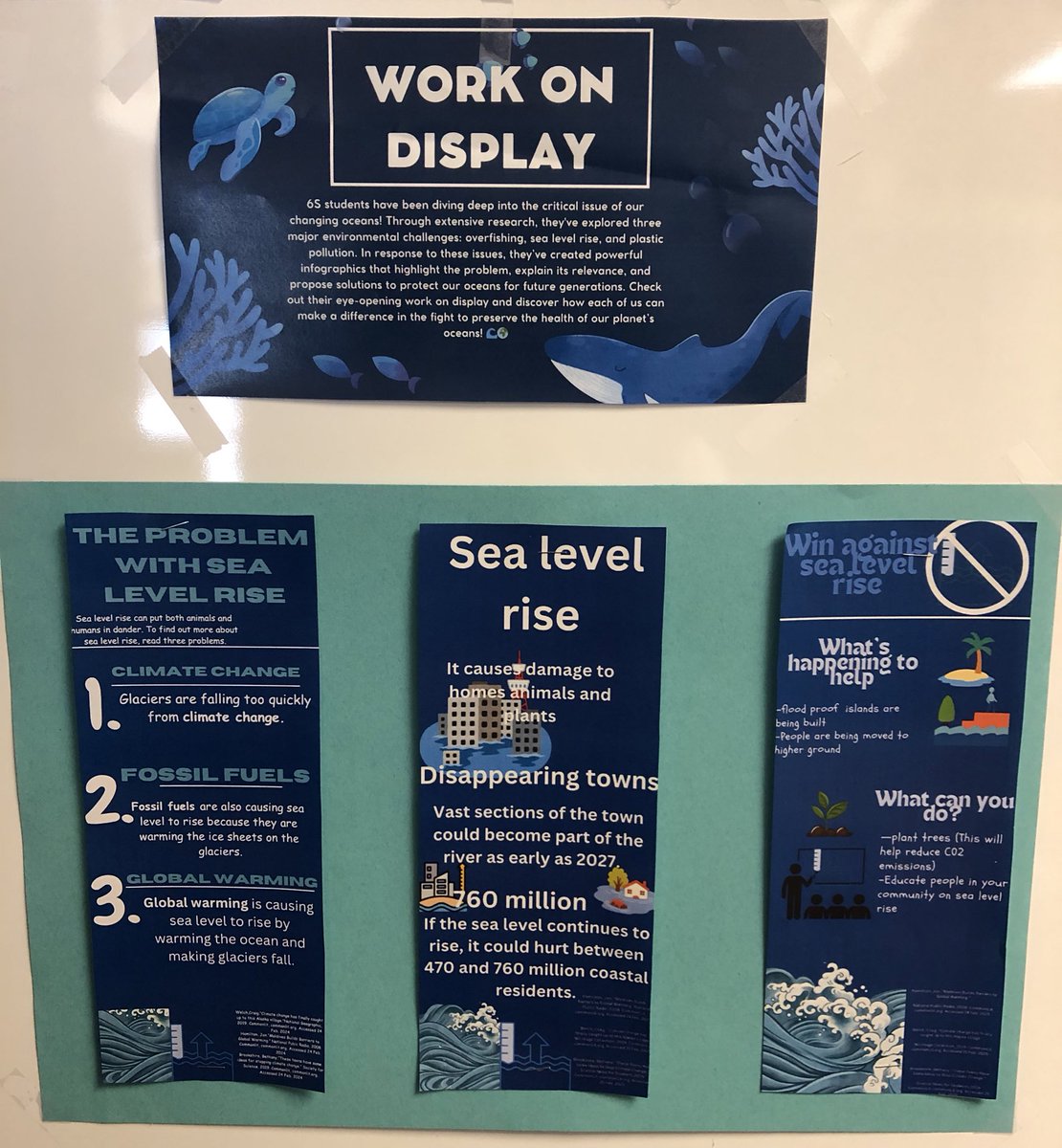 MsScanlon1's tweet photo. We are oFISHically done with Unit 4 in CommonLit! 🐠 🌊 To capture what we learned about our changing oceans, 6S students worked in groups to create infographics on their topic. They worked so hard and it shows! https://t.co/Bhp9K3bCmx
