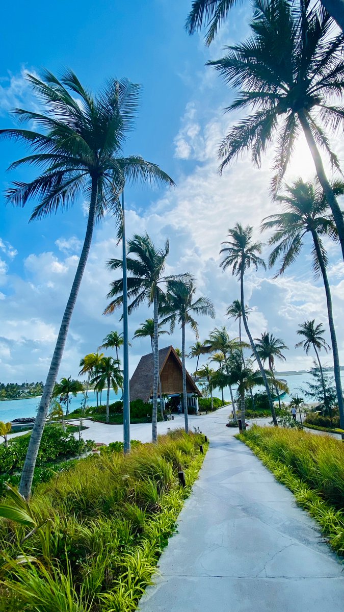 traveldiv's tweet photo. 🌴 كم جزيرة زرت حول العالم؟

قائمة للحفظ : هنا أجمل الجزر 😍

🔹 أوروبا:
🇵🇹 ماديرا: أجمل جزيرة، أسعار معقولة
🇵🇹 الأزور: طبيعة جميلة، أقل تطوراً
🇬🇷 سانتوريني: رومانسية ومشهورة بالقباب الزرقاء
🇬🇷 ميكانوس: حياة ليلية ومطاعم
🇬🇷 زاكينثوس: شواطئ صافية وأنشطة بحرية
🇬🇷 كريت: تاريخية وكبيرة
🇮🇹 كابري: تكفي رحلة يوم واحد
🇮🇹 صقلية: تاريخ وأسواق شعبية
🇮🇹 البندقية: رومانسية وليلة واحدة تكفي
🇪🇸 الكناري: تنوع طبيعي ومناخ معتدل
🇭🇷 هافار: هادئة وصغيرة

🔸 آسيا:
🇮🇩 بالي: أجمل من بوكيت
🇹🇭 بوكيت: أفضل وجهة في تايلند
🇲🇾 بينانغ: المفضلة عندي في ماليزيا
🇲🇾 لنكاوي: جميلة لكن بينانغ تغني عنها
🇵🇭 بوراكاي: شواطئ بيضاء مذهلة
🇵🇭 بالاوان: جميلة والتنقل متعب قليلاً
🇰🇷 جيجو: بركانية بطبيعة خلابة
🇲🇻 المالديف: جميلة جدًا (4 أيام حد اقصى)
🇱🇰 سريلانكا: أجمل طبيعة في اسيا، اضعف بنية تحتية

🔹 أفريقيا:
🇲🇬 مدغشقر: تنوع بيولوجي، البنية ضعيفة
🇸🇨 سيشل: رائعة لشهر العسل
🇲🇺 موريشيوس: خيار أفضل لتنوع الطبيعة والأنشطة
🇹🇿 زنجبار: مزيج إفريقي عربي جميل

🔸 أمريكا:
🇧🇸 الباهاما: كروز ومنتجعات
🇺🇸 هاواي: شواطئ وبراكين، زيارتها حلم لي والأسعار مرتفعة