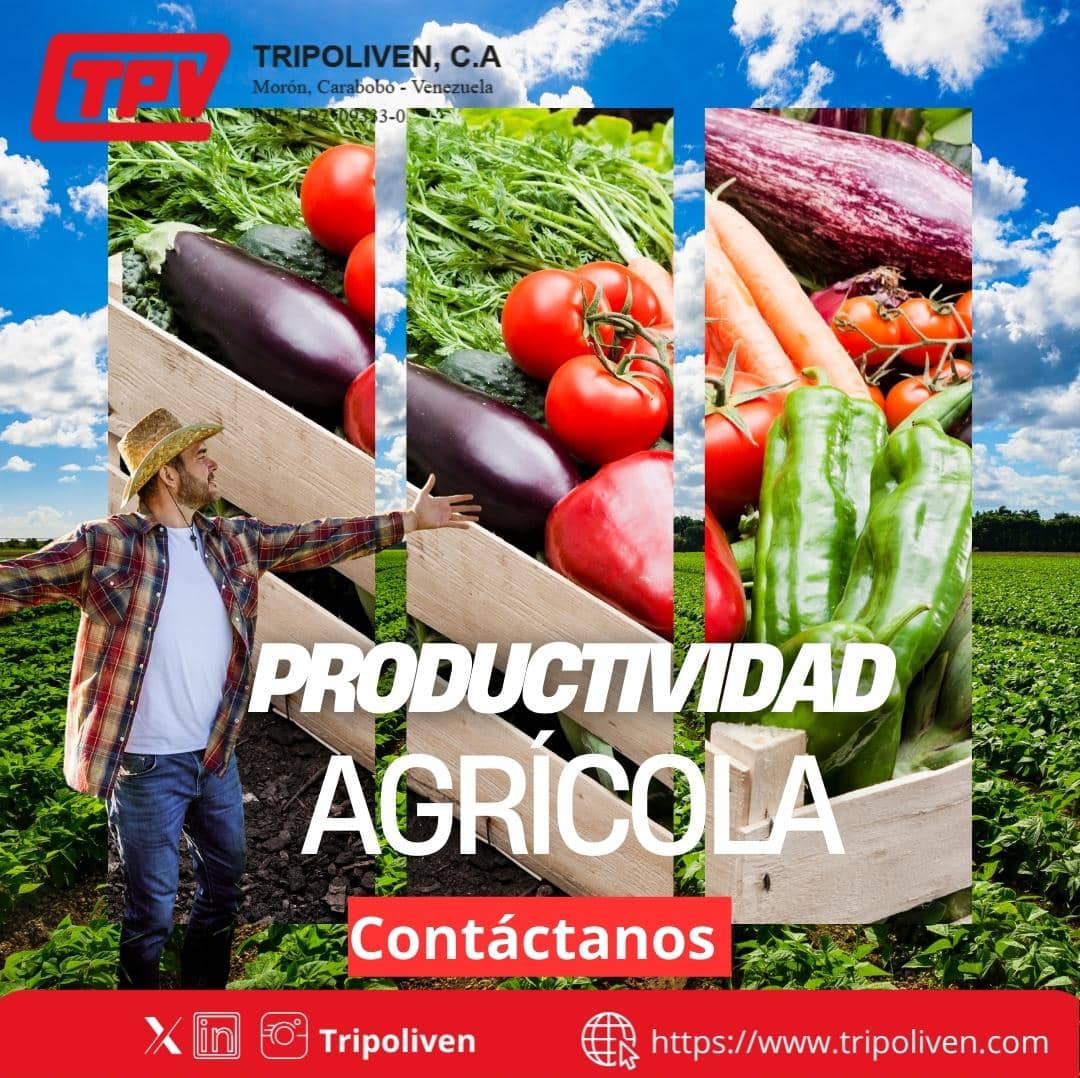 tripoliven's tweet photo. En Tripoliven C.A. Te  ofrecemos fertilizantes que mejoran la productividad agrícola a través del aporte de fósforo, nitrógeno, calcio, azufre y magnesio, que te ayudaran a obtener óptimos resultados para tus cosechas.
 ✅ Disponibilidad bajo pedido y requerimientos del cliente. https://t.co/VxzbVgmdmL