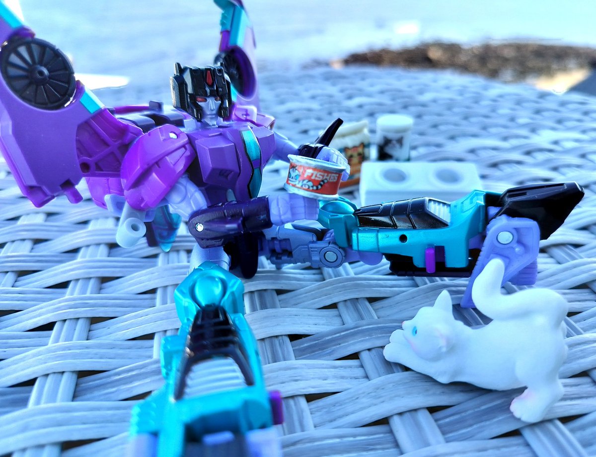 Time to feed the cat 😺 #Transformers