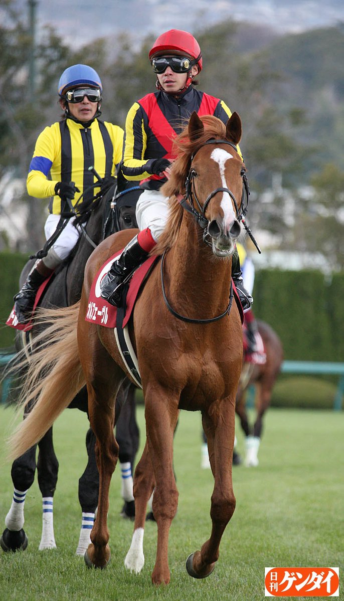 スプリングS時のオルフェーヴルは、単勝4.8倍、馬体重は出走最大時比較