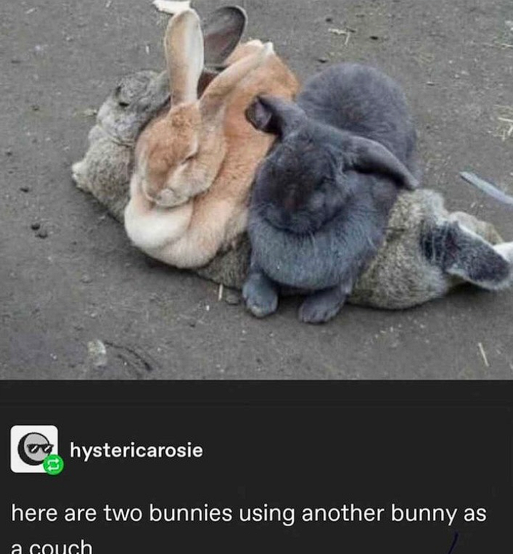 Chief ⚔️ ‼️ (Dinosaurs Are Real) (@chiefofisaac) on Twitter photo 