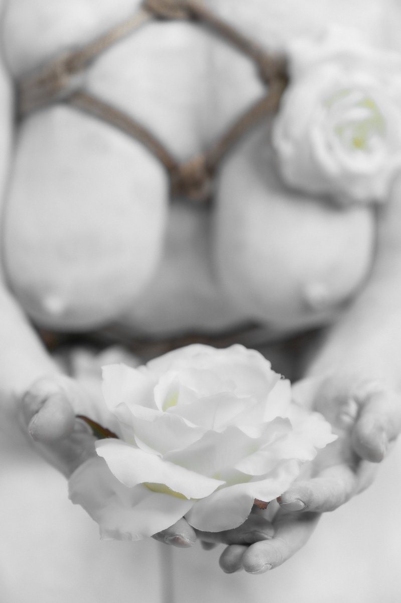 kraftedwerx's tweet photo. Teaser

#shibari #bondage #elpaso #ftbliss #bdsm #photographer #boudoir #erotica https://t.co/nmocujLP6J