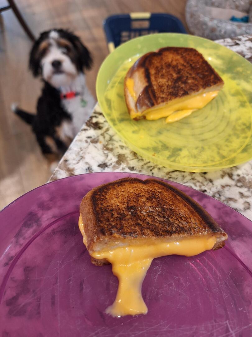 homevsfastfood's tweet image. Cheese melted between buttered bread [homemade]
👉 homecookingvsfastfood.com
#CheeseLover #GrilledCheese #HomemadeDelight #ComfortFood #FoodieHeaven #homecooking #food #recipes #foodpic #foodie #foodlover #cooking #hungry #goodfood #homecookingvsfastfood
