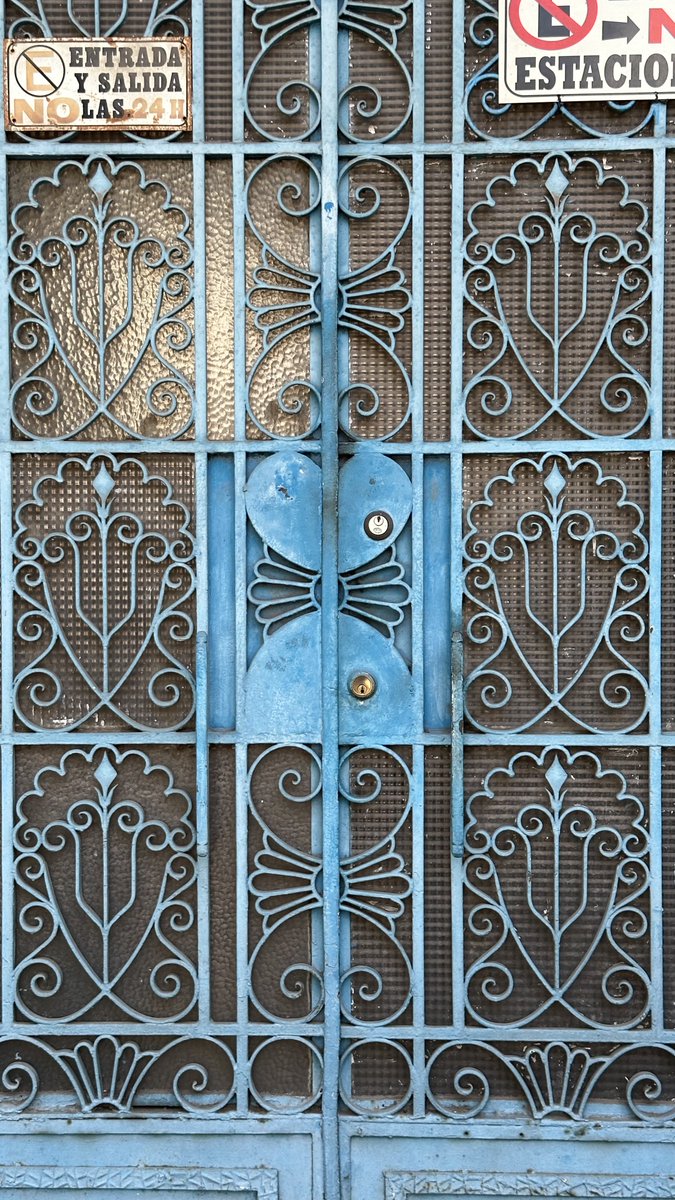 Armando Maravilla - Wonder tweet media