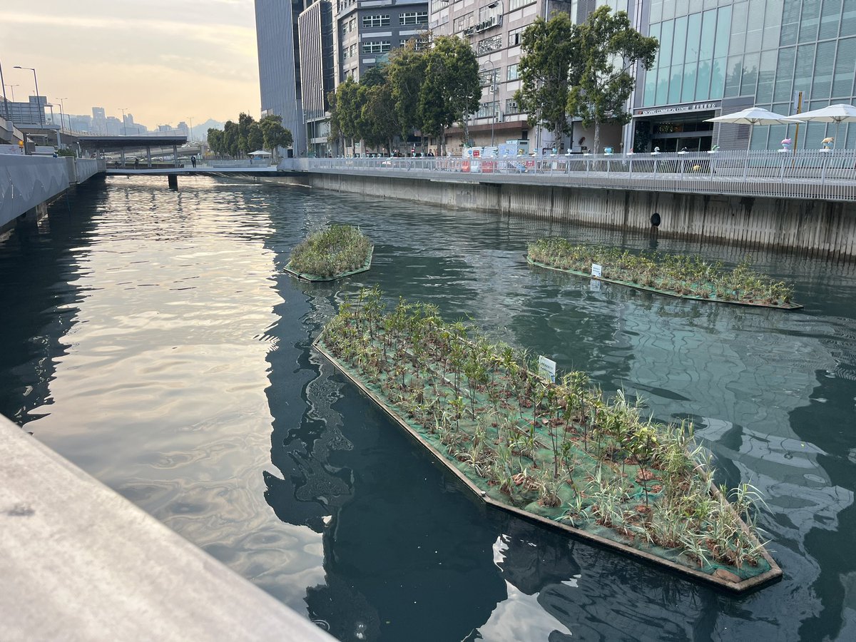 Grate Art for Awareness along the new Tsui Ping River in Hong Kong!!  It’s Grate because these plaques are placed along the sidewalks to remind people not to dump litter in the storm grates which drain to the waters. Go see if you can find them!! 

 @riversarelif 
#grateart #tpr