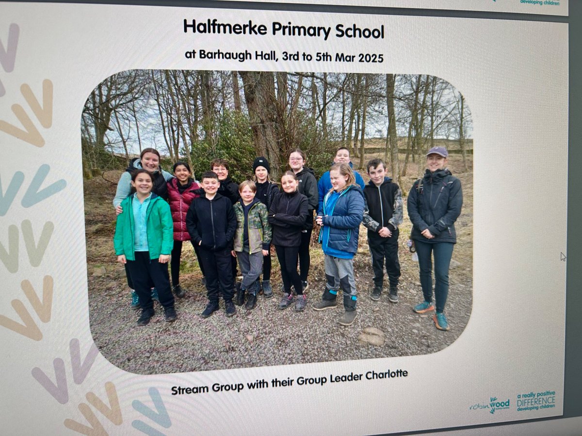 Team Stream 🫶🏼