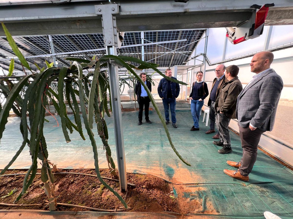 El 10 de marzo, representantes de la <a href="/GVAagricultura/">GVA Agricultura, Agua, Ganadería y Pesca</a>, junto con <a href="/EnergiaComVal/">Clúster de Energía C.V.</a>, <a href="/grupoenercoop/">Grupo Enercoop</a> y <a href="/CEOEAvila/">CEOE Ávila</a>, han realizado una visita a las instalaciones de la #ComunidadEnergética #Agrovoltaica Picassent Solar de <a href="/INDEREN_ENERGIA/">INDEREN (Ingeniería y desarrollos renovables, SL)</a>. ☀️ Más información: bit.ly/CECV103 🌿