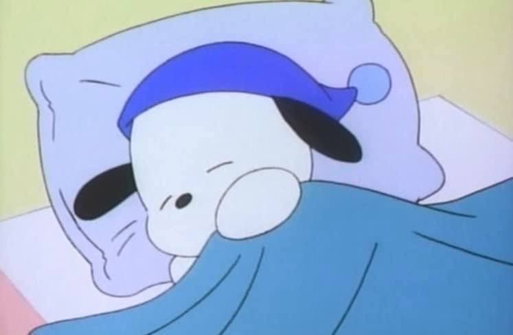 sanriodaily's tweet photo. happy national nap day! 💫 https://t.co/Cb0Nz4G7Ej