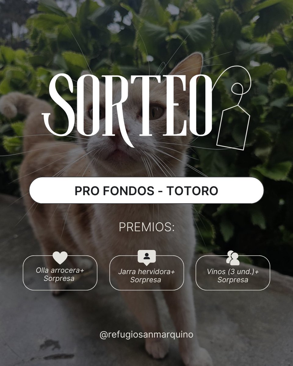 RSanmarquino's tweet photo. 📣✨️Amigxs nos urge cancelar la deuda en la veterinaria por la atención de Totoro, por ello hacemos una rifita virtual pro fondos. La rifa es solo por esta semana, COLABORA 🙏 @MelissaPeschier @jfowks @incondic_peru @Paola310 @peravi @caritortas @anahidec @Wendy_Oficial https://t.co/uy9g8p4cu1