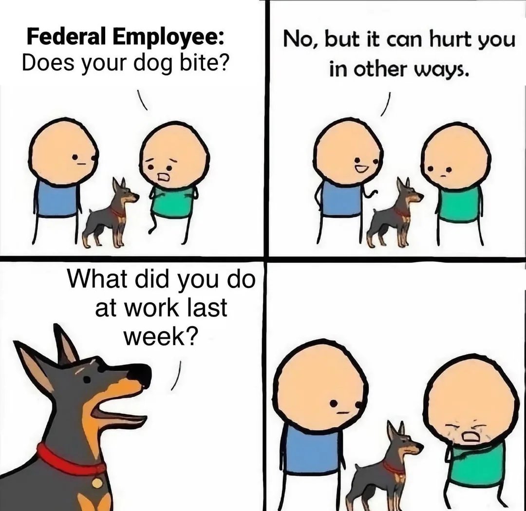 <a href="/kylenabecker/">Kyle Becker</a> <a href="/DOGE/">Department of Government Efficiency</a> <a href="/elonmusk/">Elon Musk</a> Productivity surveys are normal.