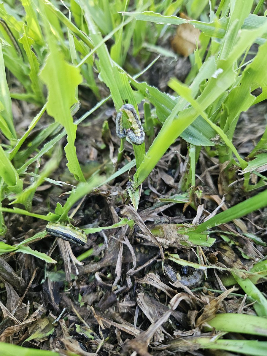 Seba Purtscher tweet media