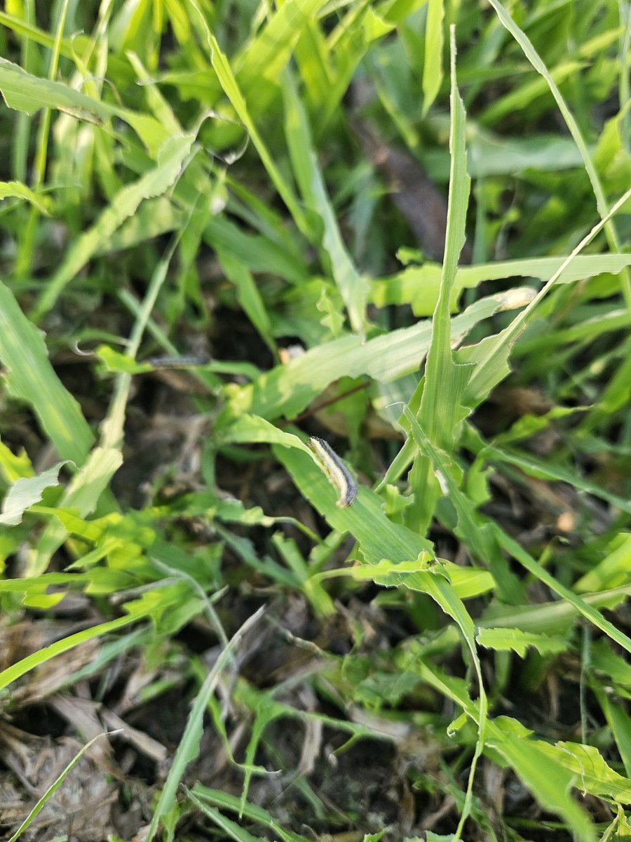 Seba Purtscher tweet media