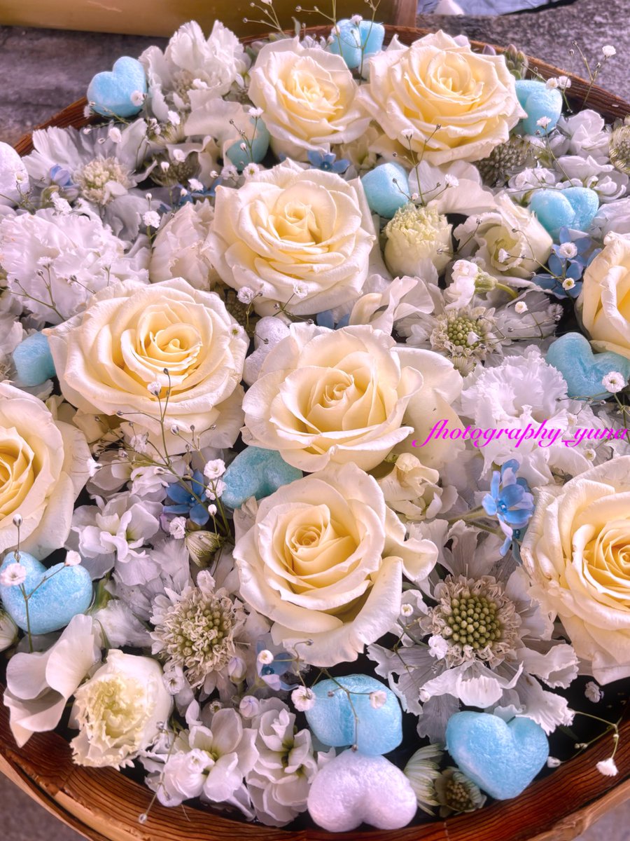 yuna_st_white's tweet photo. ✩࿐⋆*
信じ合う心 幸福な愛
🩵ブルースター🩵

純白と青の
コラボが素敵に輝いて〜

ෆஐﾟ*.:｡ʱᵃᵖᵖᵞ｡:.*ﾟஐෆ

#テーマはホワイトデー🤍🤍
#花手水 https://t.co/wi44Rk5d3z
