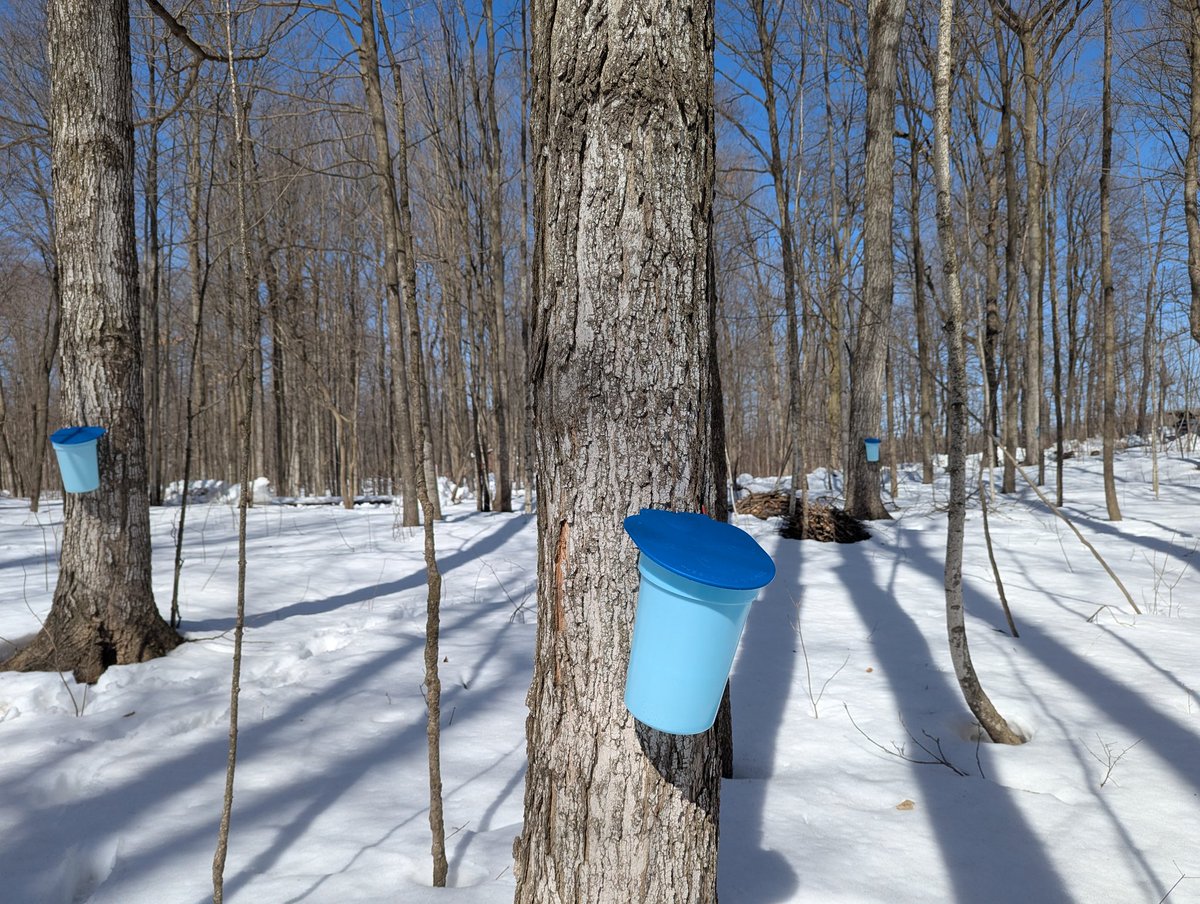 Barclay C Nap tweet media