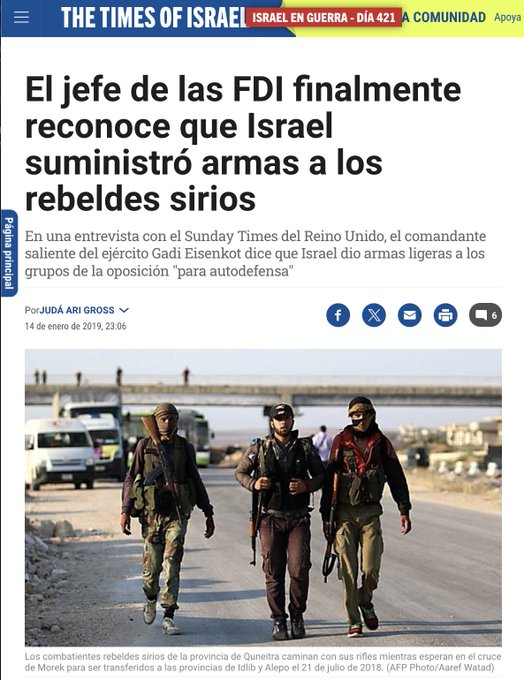 Irudia