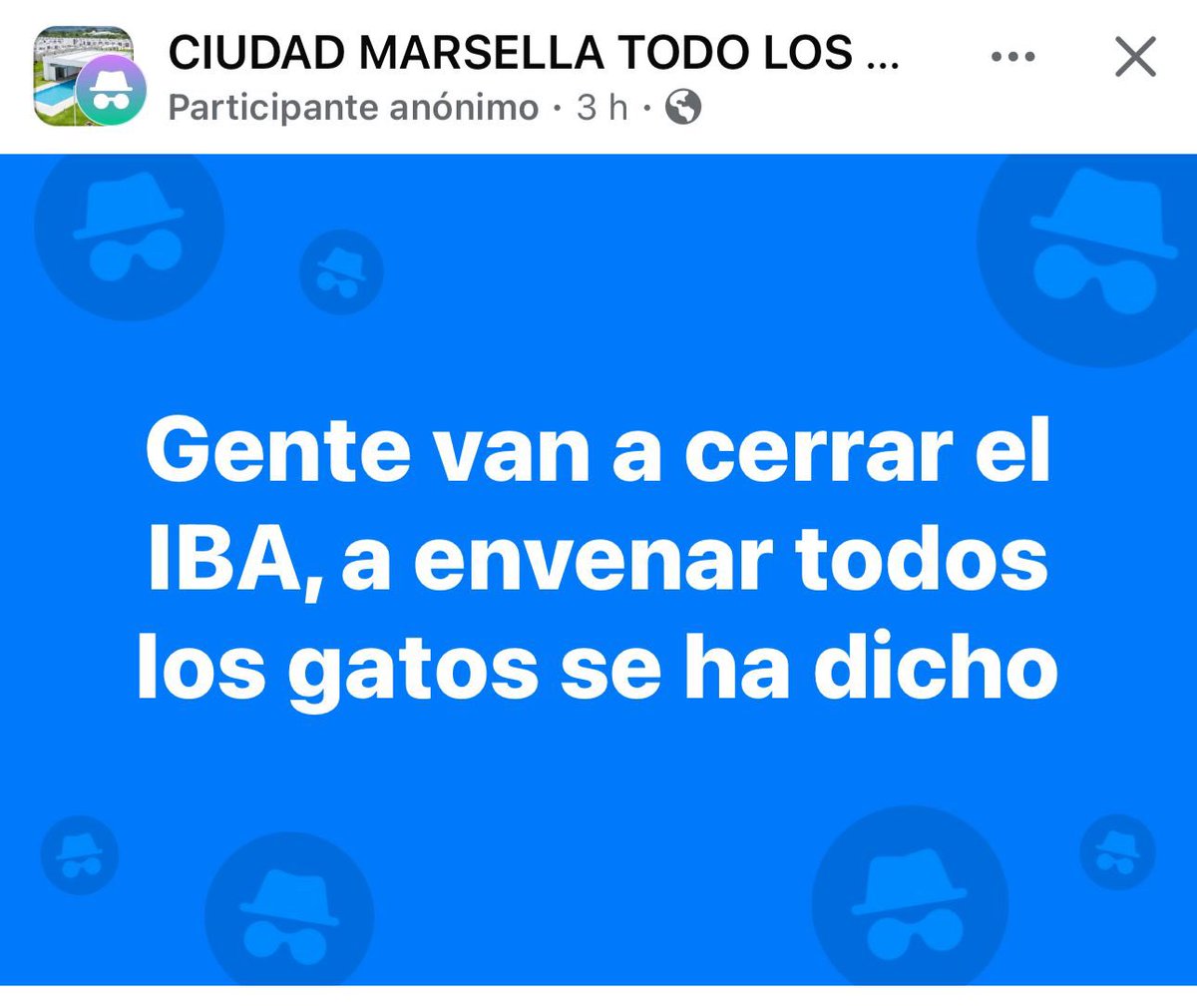 Alejand52713954's tweet photo. @nayibbukele sin el @ibaelsalvador personas malas y crueles harán daños a los gatitos, así como esa persona que publico que le dará veneno a los gatos, por favor #SalvemosIBA #NoalcierredelIBA https://t.co/W3X0HvtwXG
