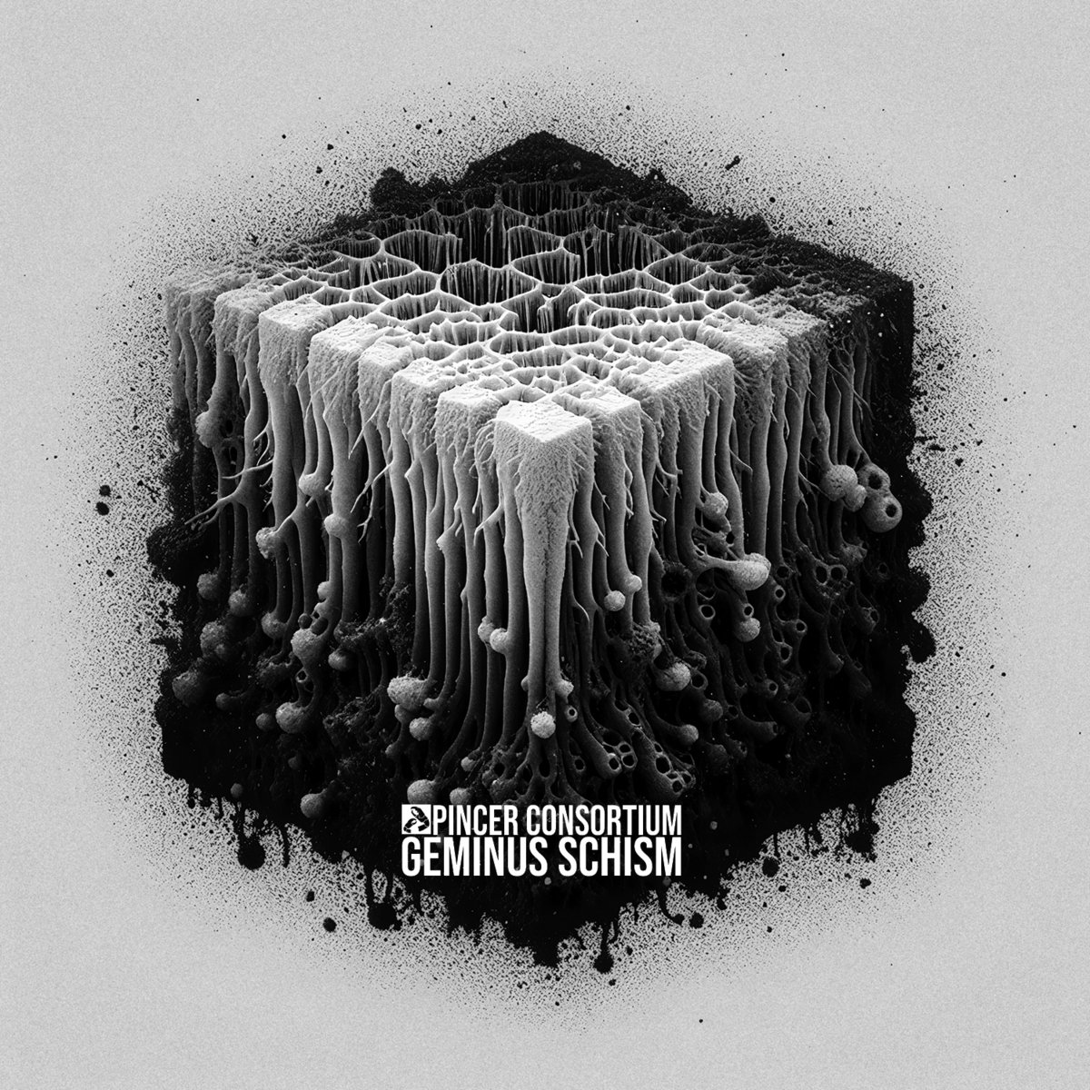 W-Fenec (@wfenec) on Twitter photo #WFENECMAG / N°64 : #CHRONIQUE p.127 de “Geminus schism“ de PINCER CONSORTIUM (Deformeathing Production)
-> w-fenec.org
#PincerConsortium #metal #deathmetal #progmetal #progdeathmetal #indus <a href="/PincerCo/">Pincer Consortium</a> #WFENECMAG / N°64 : #CHRONIQUE p.127 de “Geminus schism“ de PINCER CONSORTIUM (Deformeathing Production)
-> w-fenec.org
#PincerConsortium #metal #deathmetal #progmetal #progdeathmetal #indus <a href="/PincerCo/">Pincer Consortium</a>