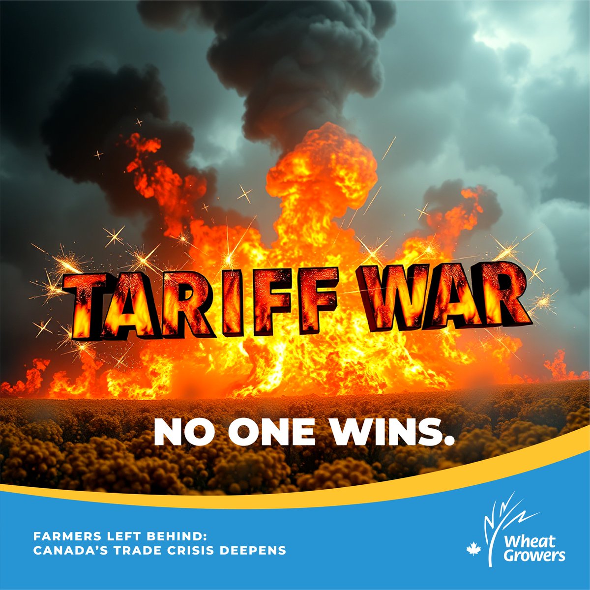 Wheat Growers tweet media