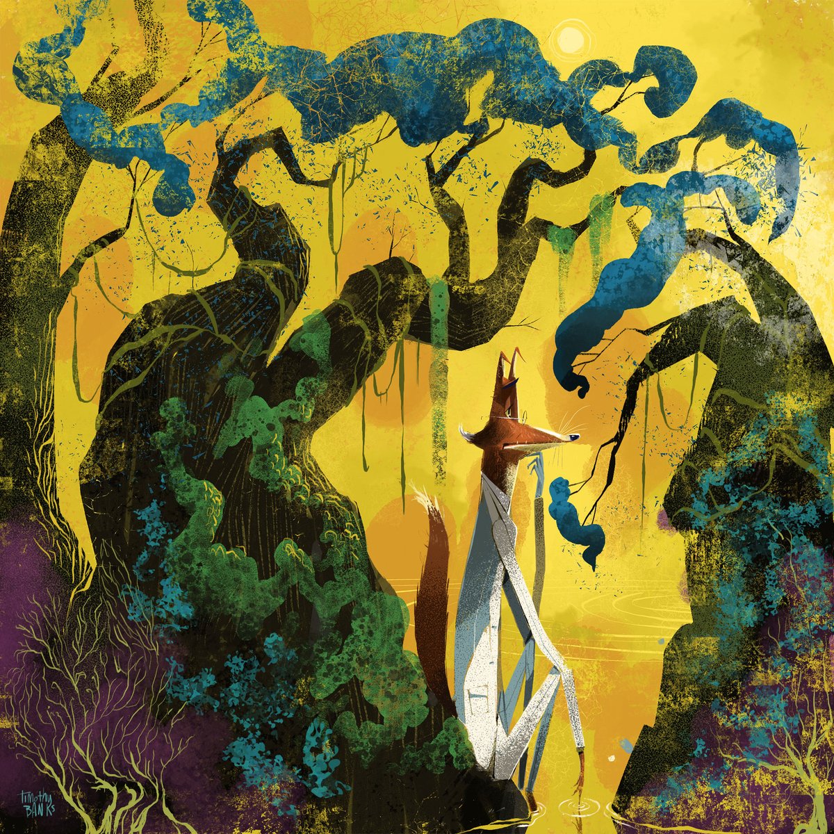 Timothy Banks tweet media