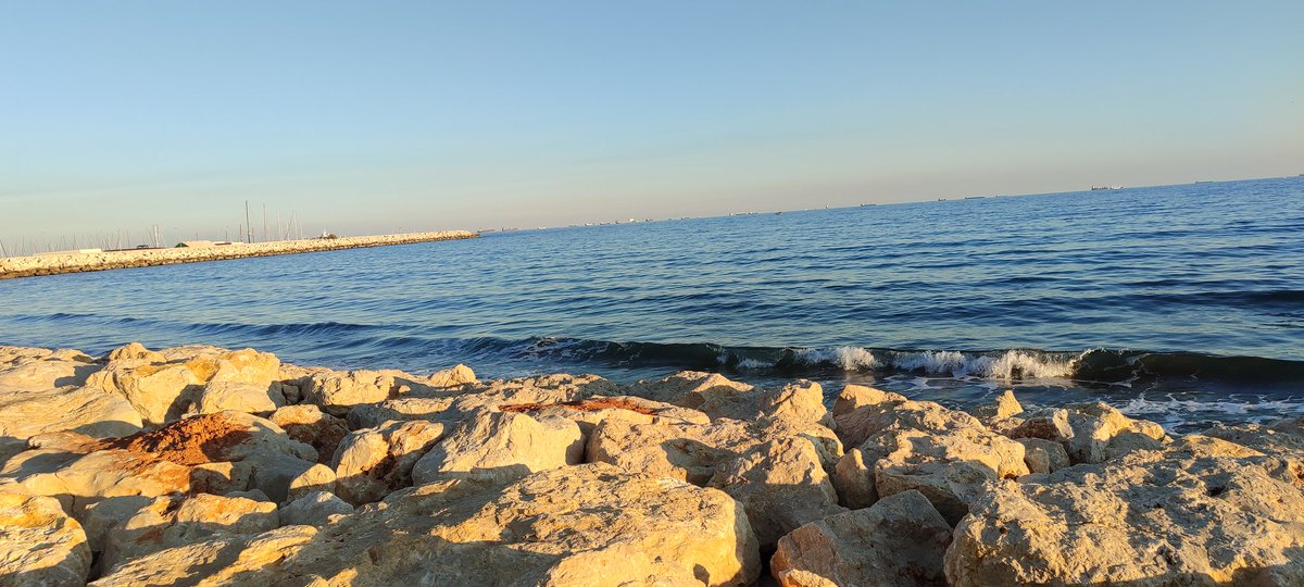 "Aslında insanın canını en çok acıtan şey, hayal kırıklıkları değil, yaşanması mümkünken yaşayayamadıklarıdır." Ne güzel söylemiş Dostoyevski dostumuz 😊