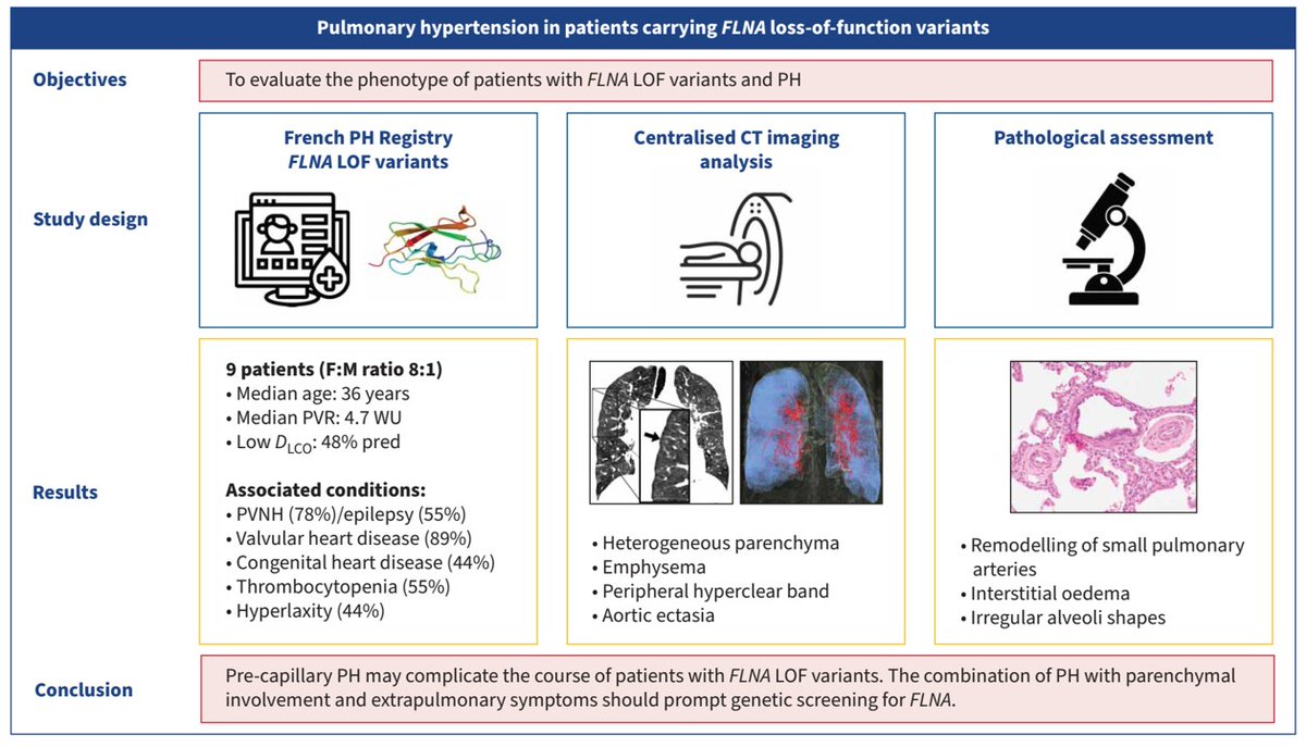 Montani David (@montanidavid) on Twitter photo Very happy to share our article describing a new phenotype/genotype relationship in #PAH "Pulmonary hypertension in patients carrying FLNA variants" published this month in Eur Respir J
<a href="/pulmotension/">Pulmotension</a> <a href="/InsermU999/">InsermU999</a> <a href="/SPLF_SocPneumo/">Société de Pneumologie de Langue Française (SPLF)</a> <a href="/RespiFIL/">FSMR - RespiFIL 🫁</a>
publications.ersnet.org/content/erj/65… Very happy to share our article describing a new phenotype/genotype relationship in #PAH "Pulmonary hypertension in patients carrying FLNA variants" published this month in Eur Respir J
<a href="/pulmotension/">Pulmotension</a> <a href="/InsermU999/">InsermU999</a> <a href="/SPLF_SocPneumo/">Société de Pneumologie de Langue Française (SPLF)</a> <a href="/RespiFIL/">FSMR - RespiFIL 🫁</a>
publications.ersnet.org/content/erj/65…