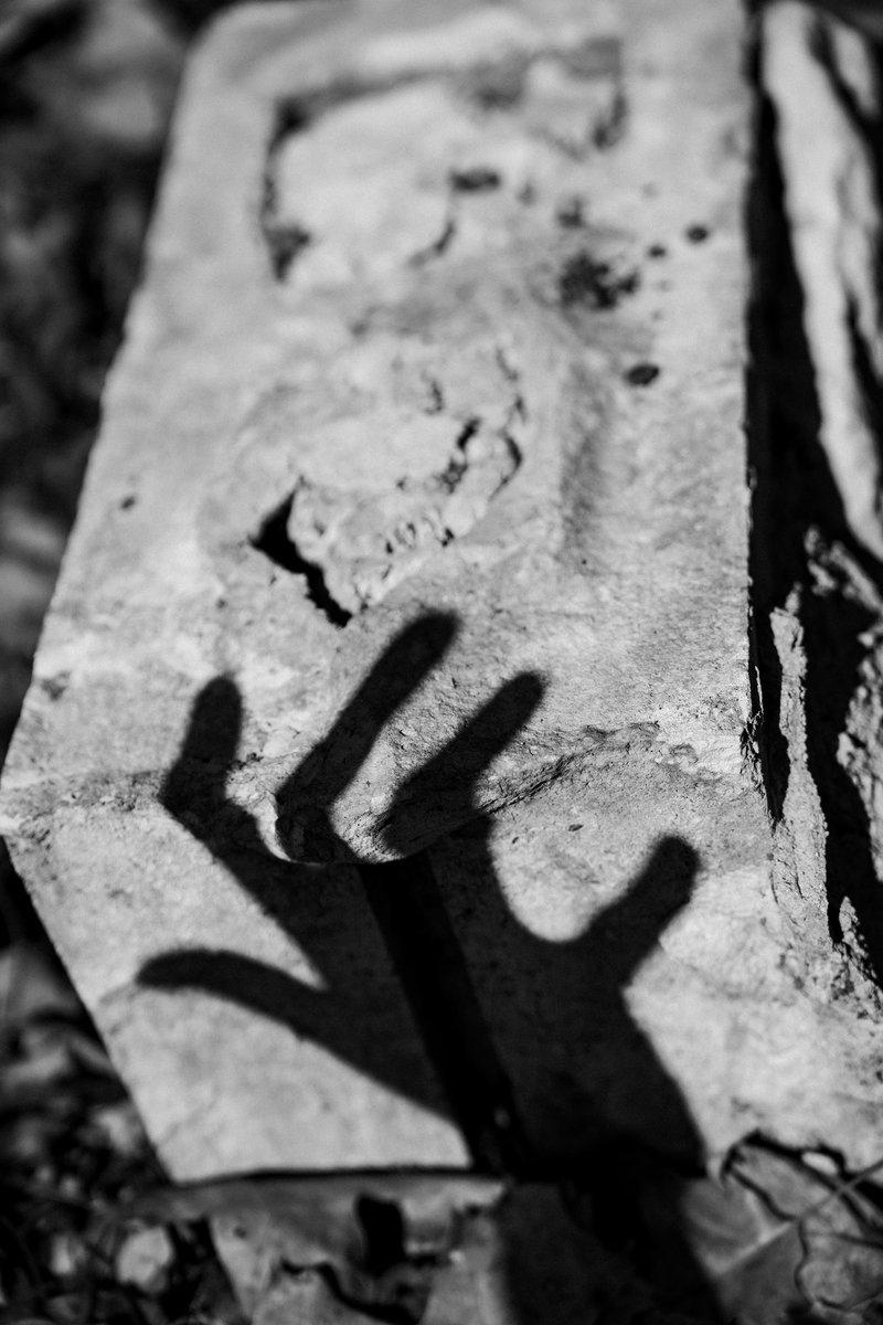 JesseCanady27's tweet image. March 10, 2025