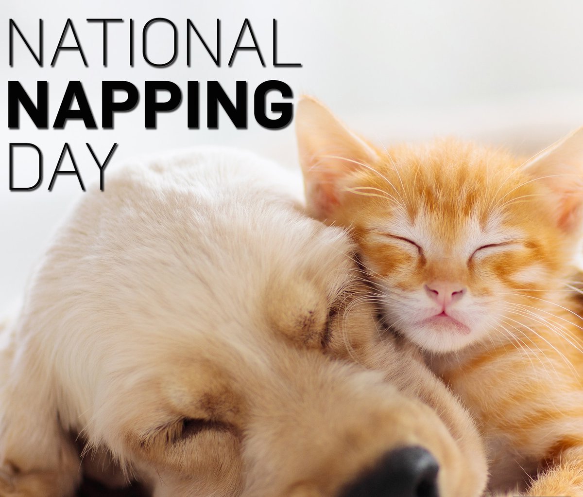 Join <a href="/Casper/">Casper</a>, the Sleep Company on Saturday, March 15th for a relaxing celebration of National Napping Day! They'll provide refreshments, such as coffee, tea, hot cocoa for the kiddos, and snacks to help you catch some Zzz's. Visit their Pasadena store at 102 S. Lake Avenue!