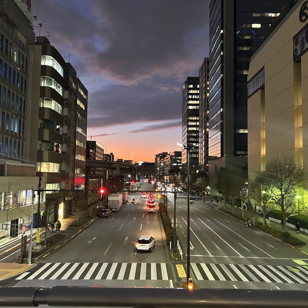 hoooootate_'s tweet image. 