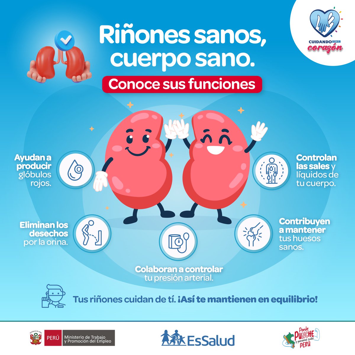 💙 ¡Tus riñones trabajan por ti! En el Día Mundial del Riñón descubre sus funciones y protégelos con hábitos saludables. 🚰🩸 #RiñonesSanos #SaludRenal