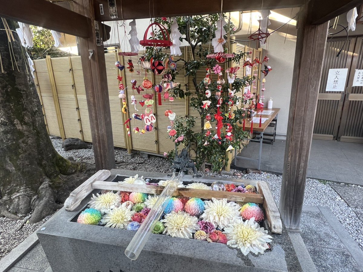 pi_tan_pan's tweet photo. 蛇窪神社🐍⛩💓 withせなゆりか♡ https://t.co/3jCrfb15Ca