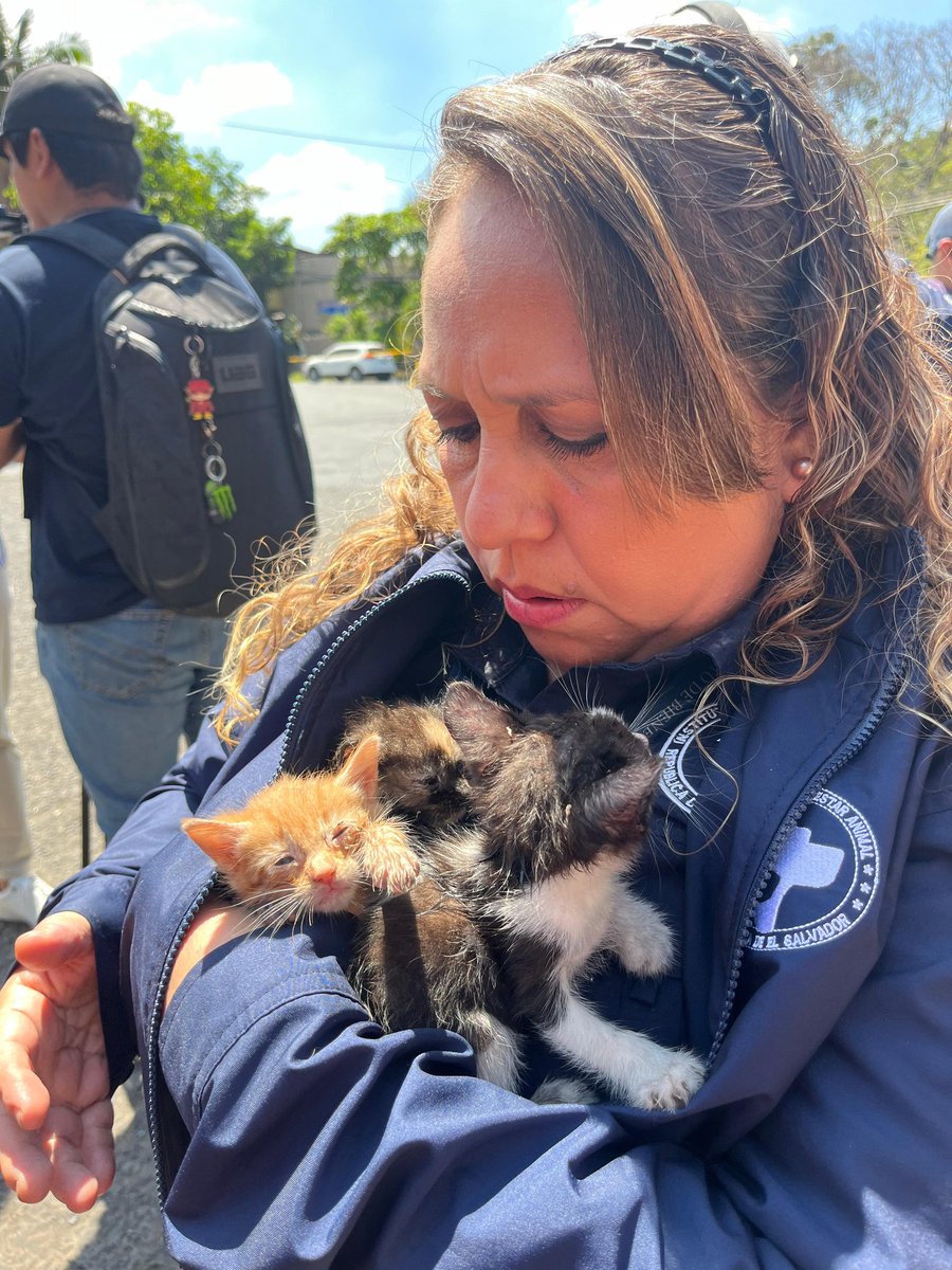 He tenido la oportunidad de ver el trabajo que <a href="/ibaelsalvador/">Instituto de Bienestar Animal</a> a venido desempeñando bajo la visión de nuestro presidente. El Salvador ahora pierde a aquellos que velan por los derechos de los animalitos por eso presidente <a href="/nayibbukele/">Nayib Bukele</a>  #SalvemosIBA