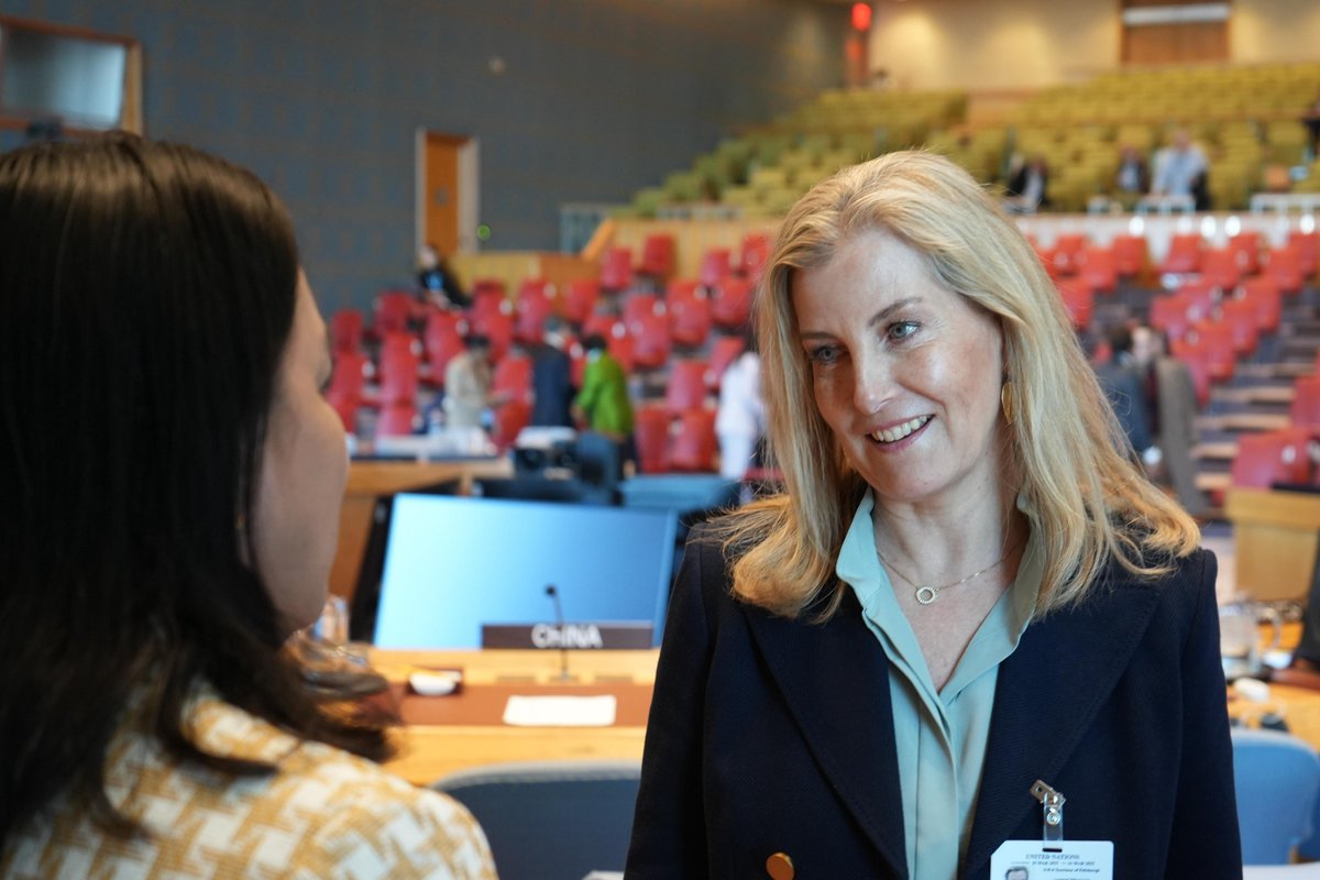 UK at the UN 🇬🇧🇺🇳 tweet media