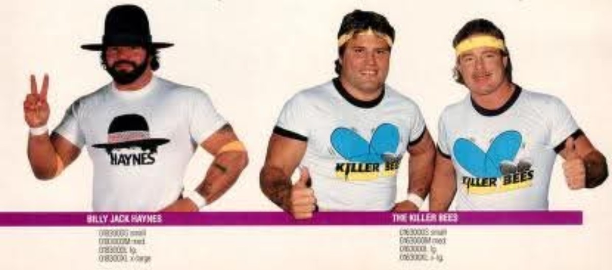 dr_dan83's tweet image. Has anyone ever owned a Billy Jack Haynes or a Killer Bees Tee Shirt?