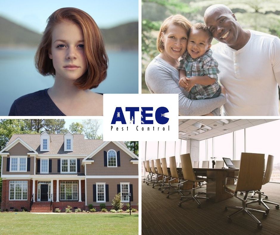 ATECPEST's tweet image. ATEC Pest Control delivers expert pest control solutions for both residential and commercial clients across North Alabama. Our commitment is to provide top-quality service with the respect and care you deserve! Learn more: buff.ly/hVLtwPb #PestFreeLiving #ATECPestControl
