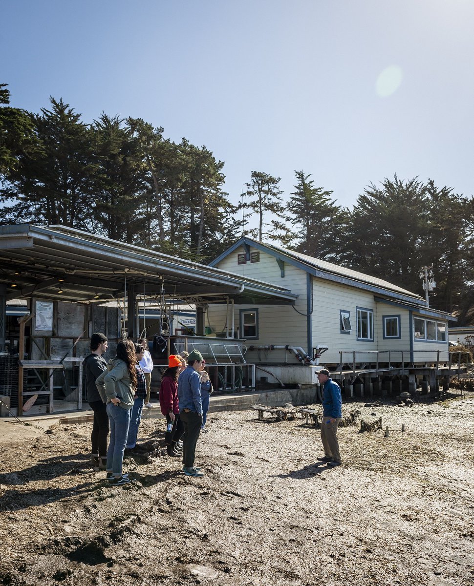 Immerse yourself in oyster farming with our Farm Tours in Marshall! 🦪 We offer different tour options depending on how deep into learning you want to go! See all options on our website at the link below:

BOOK A TOUR: l8r.it/2kjG

#HogIslandOysterCo #FarmTours